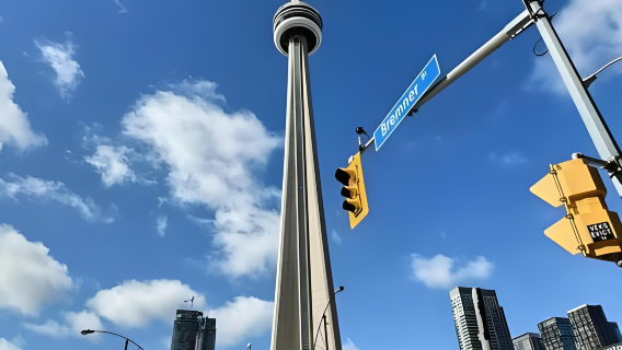 Toronto pergi-balik, lawatan sewa peribadi tarikan klasik bandar (Perkhidmatan Bahasa Cina, itinerari boleh dilaras)