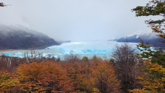 Passeio de um dia com caminhada na trilha da geleira Perito Moreno saindo de El Calafate, Argentina | Passeio de barco opcional