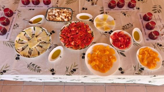 Córdoba: Visit to a Family-Run Organic Olive Grove with Tasting and Premium Food Tasting