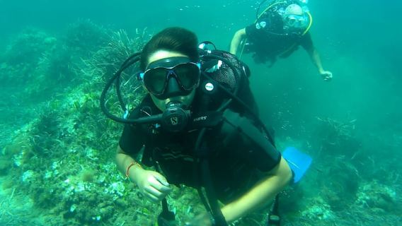 Scuba Diving Experience for Beginners