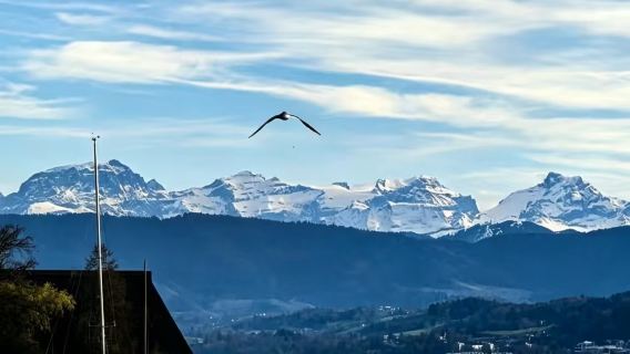 Lake Zurich: How the lake shaped Swiss trade, migration and lifestyle