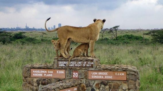 NairobiTours