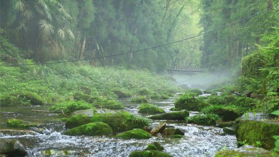ZhangjiajieTours