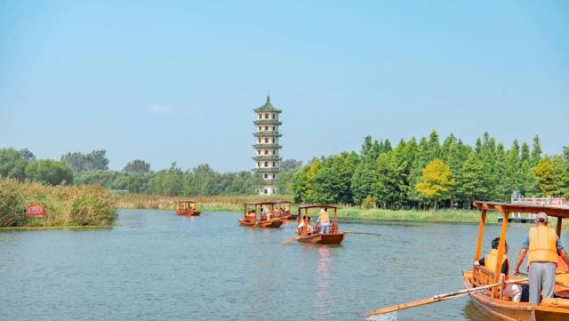 Yancheng ▏Perkhidmatan penerangan berpandu profesional oleh pemandu pelancong berlesen berbahasa Cina