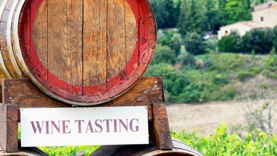 Visita a los viñedos y castillos de Chianti con cata de vinos