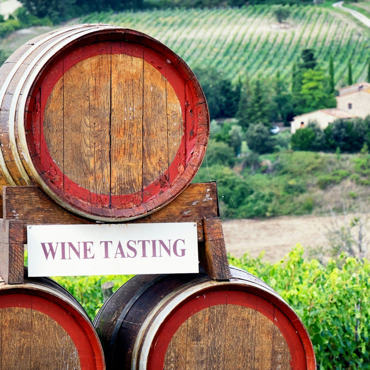 Tour dei vigneti e dei castelli del Chianti con degustazione di vini