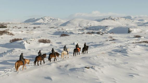 Paseo a Caballo con Caballos Islandeses por los Campos de Lava de Hafnarfjörður