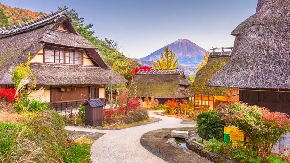 東京富士山西湖合掌村落、河口湖、忍野八海一日遊，贈合掌村門票