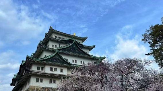 金澤日遊