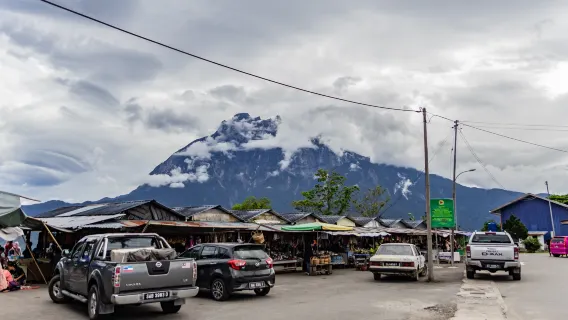 Kinabalu Park & Poring Hot Spring 1-Day Shared Tour 