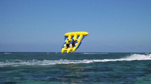 Dubai Attraction: Fly Fish Ride Day Tours 1