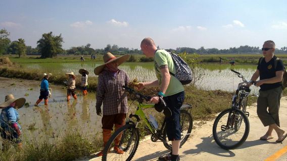 Chiang MaiTours