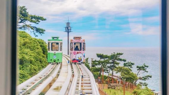 부산데이 투어