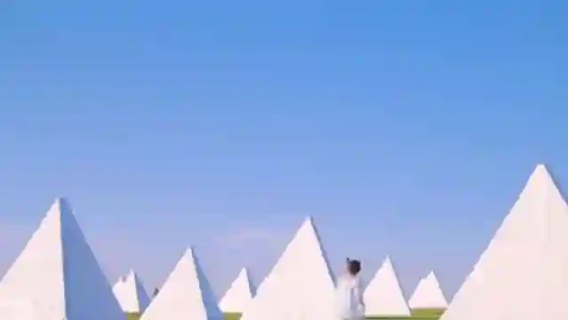 雪梨Kima臥龍港包車一日遊[行程可調//普通話司導]