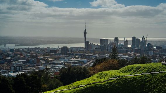 AucklandTours