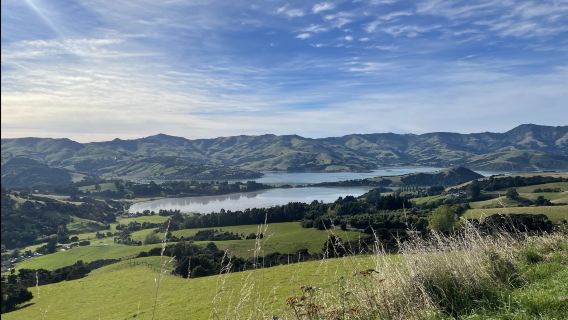 Christchurch to Queenstown: Lake Tekapo + Church of the Good Shepherd + Aoraki / Mount Cook [English Tour]