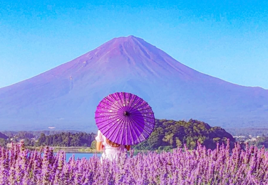 Mount Fuji Seven Views Instagram Hotspots, Viral Lawson, Oishi Park at Lake Kawaguchi 1-day Tour