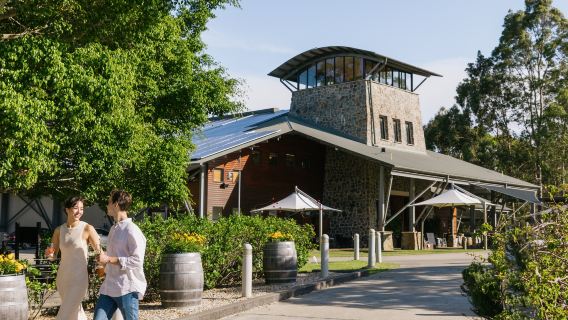 Visita guidata del Castello di Cimbre, degustazione di vini e pasto leggero al bar