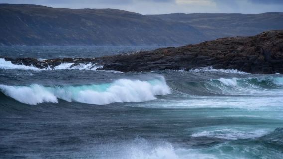 Murmansk, Russia Teriberka Arctic Circle Whale Watching Tour (Group Tour/Booking Available for One Person)