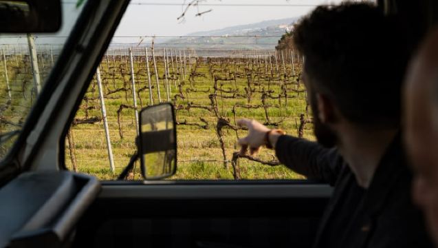 Abruzzo: tour bằng jeep tham quan vườn nho kèm thưởng thức rượu