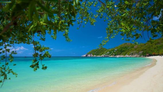 Koh Tao: Golden Hour Getaway – Your Late Start to Paradise