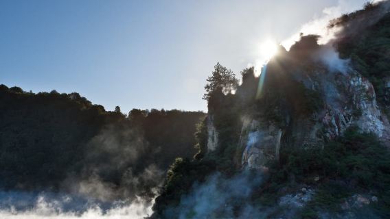 From Rotorua: Wai O Tapu & Waimangu Eco Thermal Morning Tour