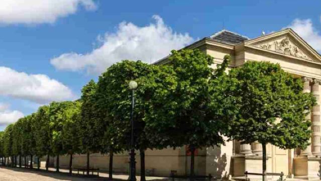 法國一日遊【奧賽博物館+橘園美術館+杜樂麗花園+羅浮宮】