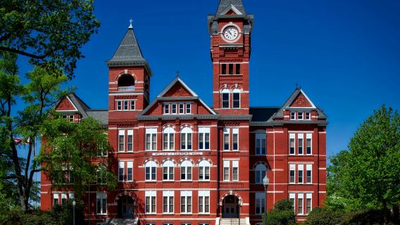 Khám phá Boston: 10 giờ trải nghiệm những con đường lịch sử, khuôn viên đại học biểu tượng và khu vườn yên bình.