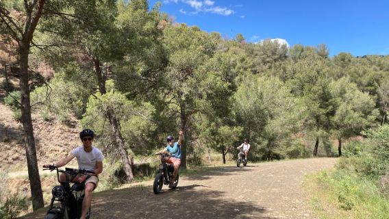 FAT bike elettrica nei Monti di Malaga e nella campagna