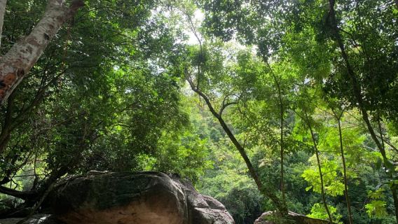 Dari Nha Trang: Tur Air Terjun dan Pedesaan Ba Ho