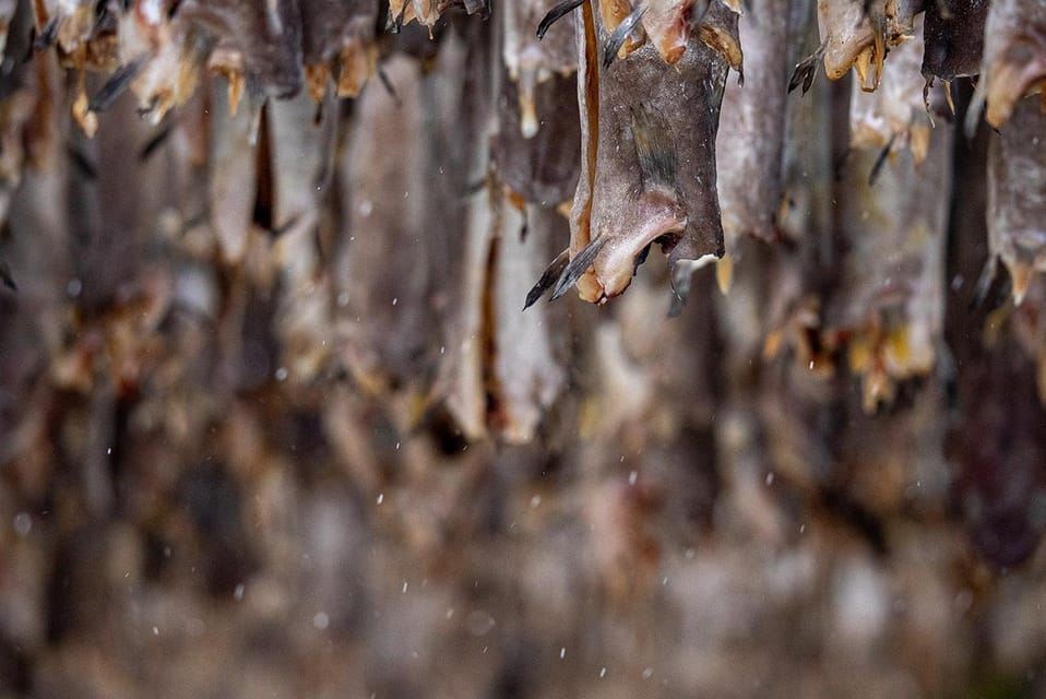 From Svolvær: Half Day Lofoten History and Photo Tour