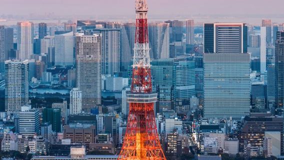 【五星級旅行社出品】你的名字取景地·東京一日遊·中文司兼導