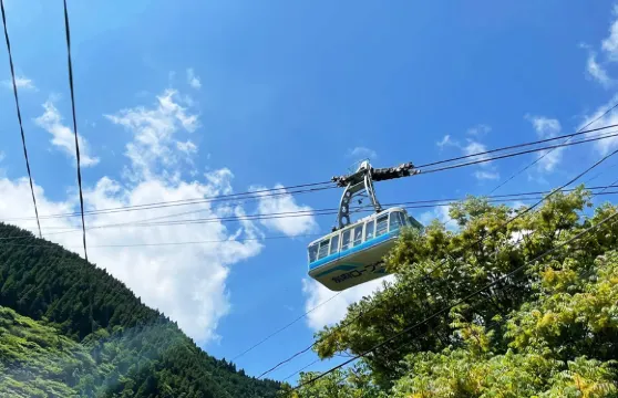 日本大分太宰府天滿宮&別府纜車&由布院金鱗湖 櫻花季一日遊