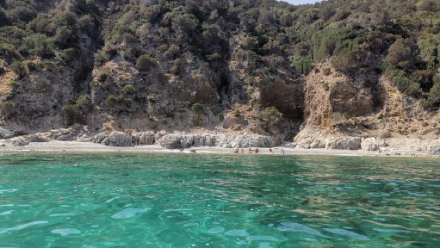 Olbia: Dolphin watching and snorkeling tour on Figarolo Island