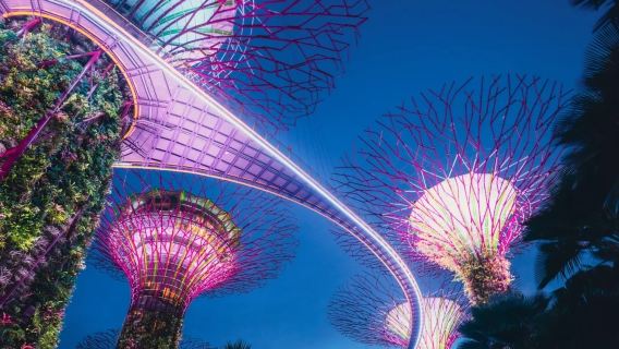 資深執證導遊深度陪同，漫步新加坡精華之旅小團