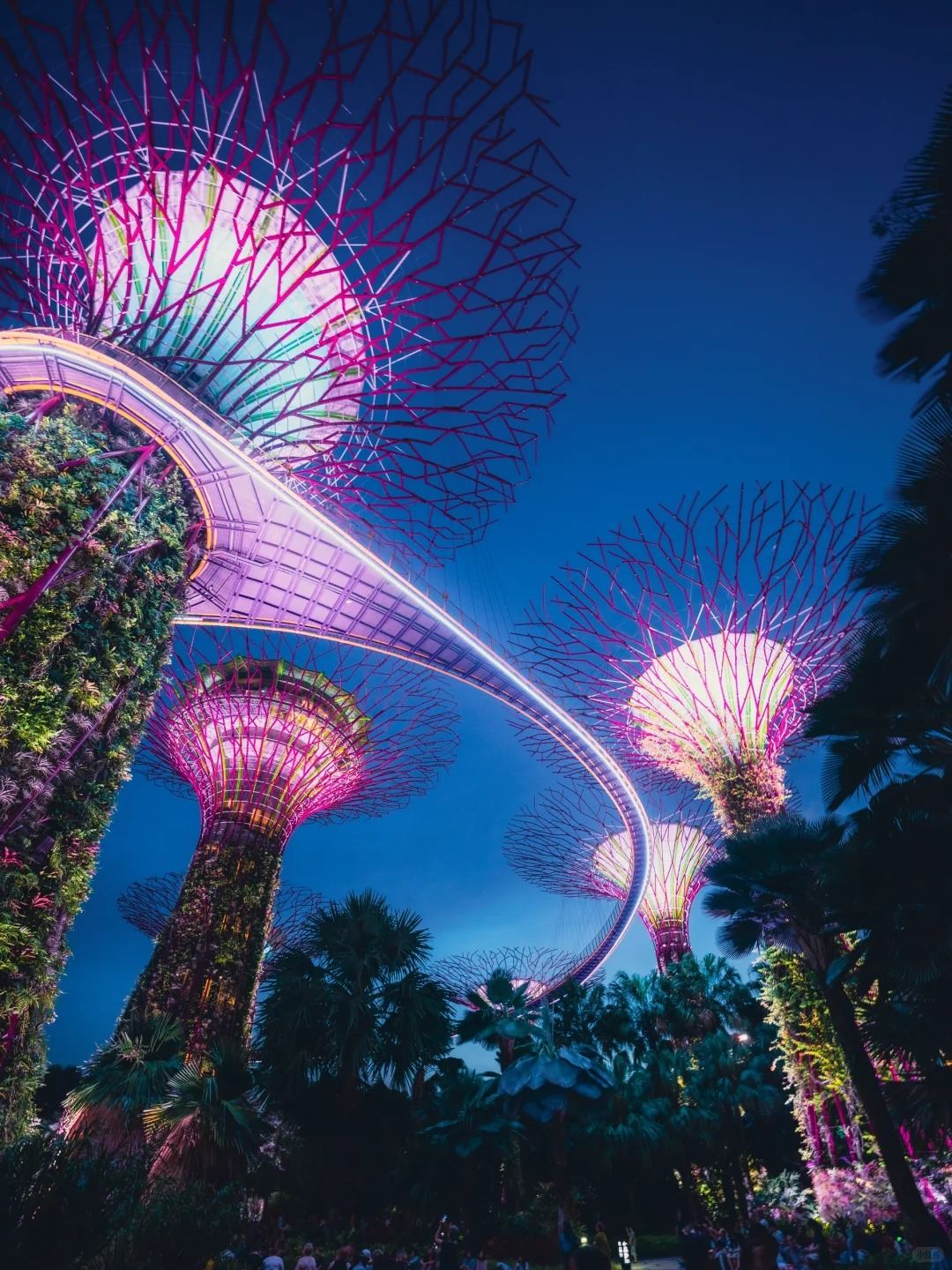 資深執證導遊深度陪同，漫步新加坡精華之旅小團