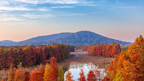 [Thuê xe riêng theo yêu cầu tại Thượng Hải] + Tô Châu Động Đình Tây Sơn [Làng cổ đảo Thái Hồ - hoài niệm thời gian xưa]