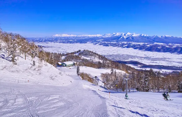 北海道富良野私人滑雪課程【國際認證專業教練｜中文／英文教學】