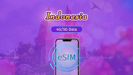 Indonesia | 5G/4G eSIM | Day Pass/Total Package | 24H Billing | 1-30 days | QR code