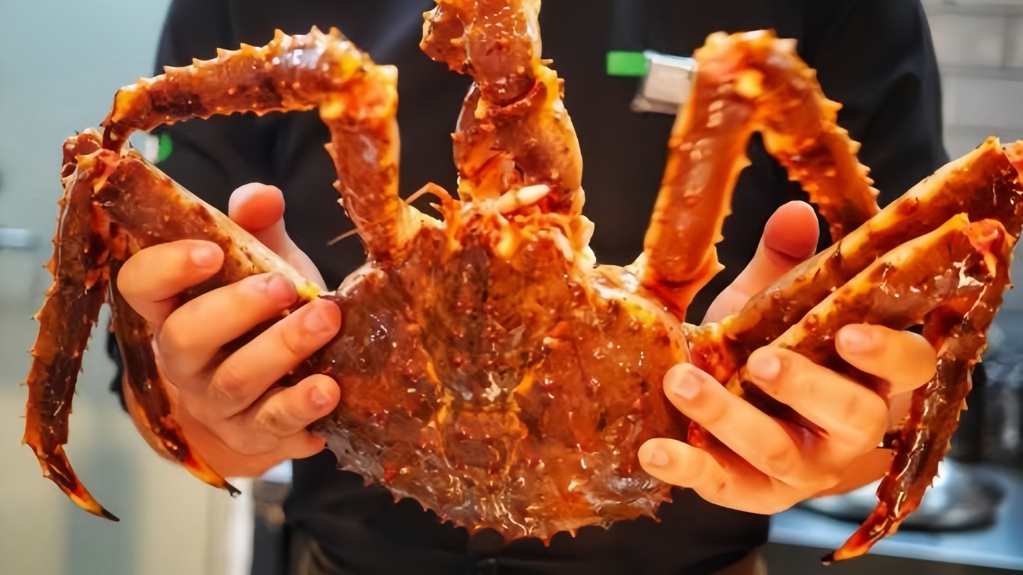 Norwegian King Crab Hunting Tour Winter Edition