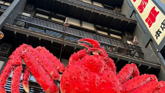 Sapporo Crab Restaurant Hokkaido Kani-Shogun Booking - Crab Hot Pot Reservation Service in Hokkaido, Japan