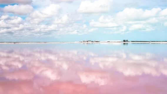 Playa Las Coloradas day tour from Cancun (English-speaking group, Yucatan Peninsula)