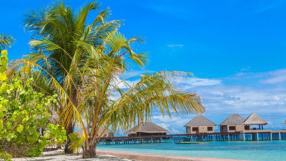 美國夏威夷大島科納咖啡農場+國家歷史公園+魔法沙海灘一日遊