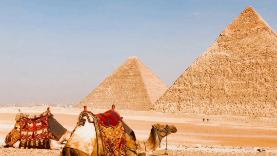 【埃及定制包車】埃及博物館+吉薩金字塔群+尼羅河+哈利市場