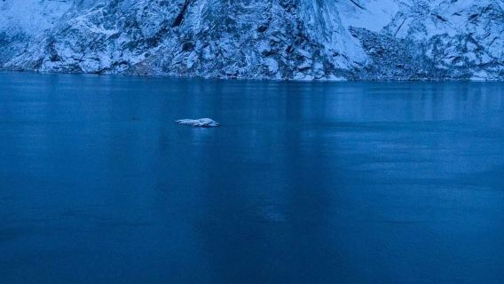 挪威斯沃爾維爾-羅弗敦-哈姆諾伊-斯卡里斯科亞/拼包車-精選