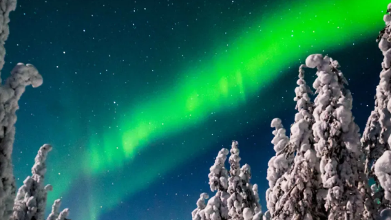 [Viaje en busca de la aurora] Rovaniemi, Finlandia|Excursión para ver la aurora boreal + barbacoa en Laponia