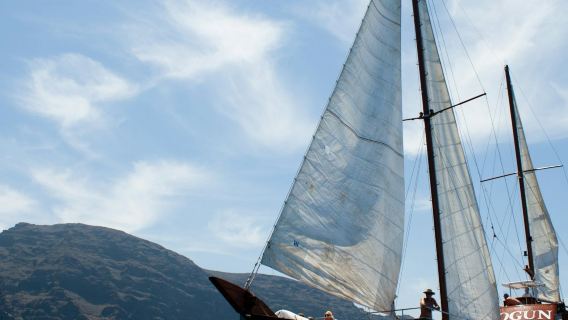 洛斯吉甘特斯：從科斯塔阿德赫出發的 5 小時賞鯨遊船之旅 + 午餐