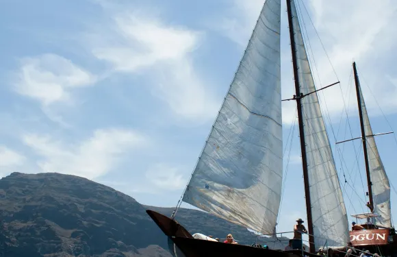 洛斯希甘特斯：5小時哥斯達阿德赫出發觀鯨郵輪之旅 + 午餐