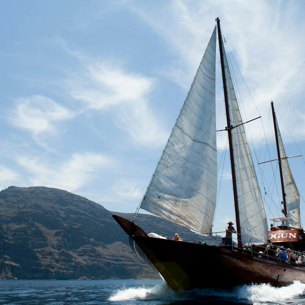 Los Gigantes: Crucero guiado de cinco horas para avistar ballenas desde Costa Adeje con comida incluida