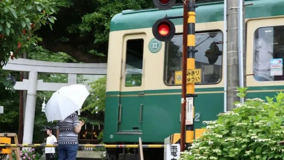 Hakone, Fuji-Hakone & Hakone-Kamakura: Vervoerspas